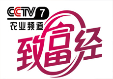 蒙北燕麥登錄CCTV7央視[致富經(jīng)]李剛嶺賠光6000萬之后如何成為中國天然燕麥第一人